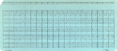 Blank Punched Card